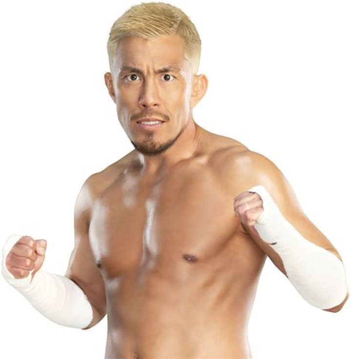 Akira Tozawa Biography, Age, Height, Wife, Net Worth, Family