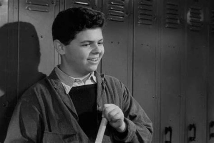 Alvin Greenman Biography, Age, Height, Wife, Net Worth, Family