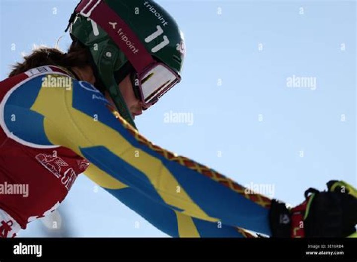 Anna Swenn-Larsson Biography, Age, Height, Husband, Net Worth, Family