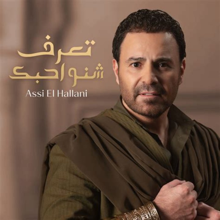 Assi El Hallani Biography, Age, Height, Wife, Net Worth, Family