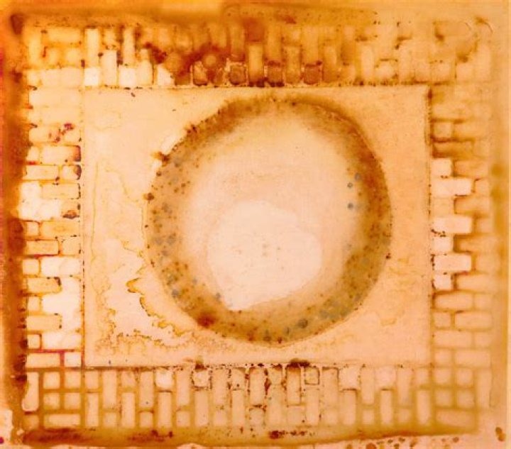 Benjamin Allanoff Biography, Age, Height, Husband, Net Worth, Family