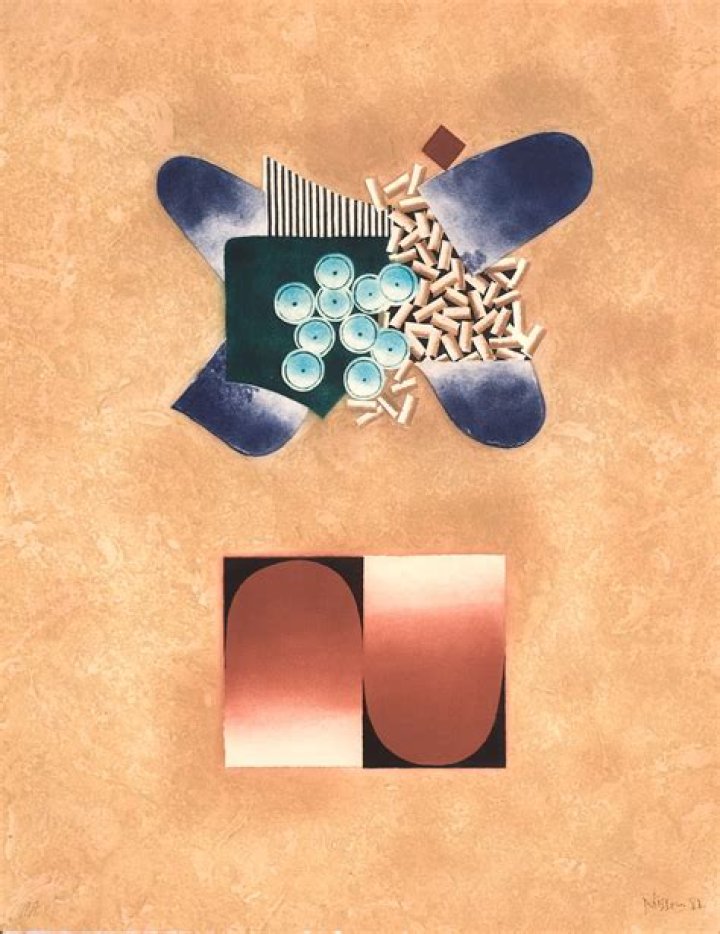 Brian Nissen Biography, Age, Height, Wife, Net Worth, Family