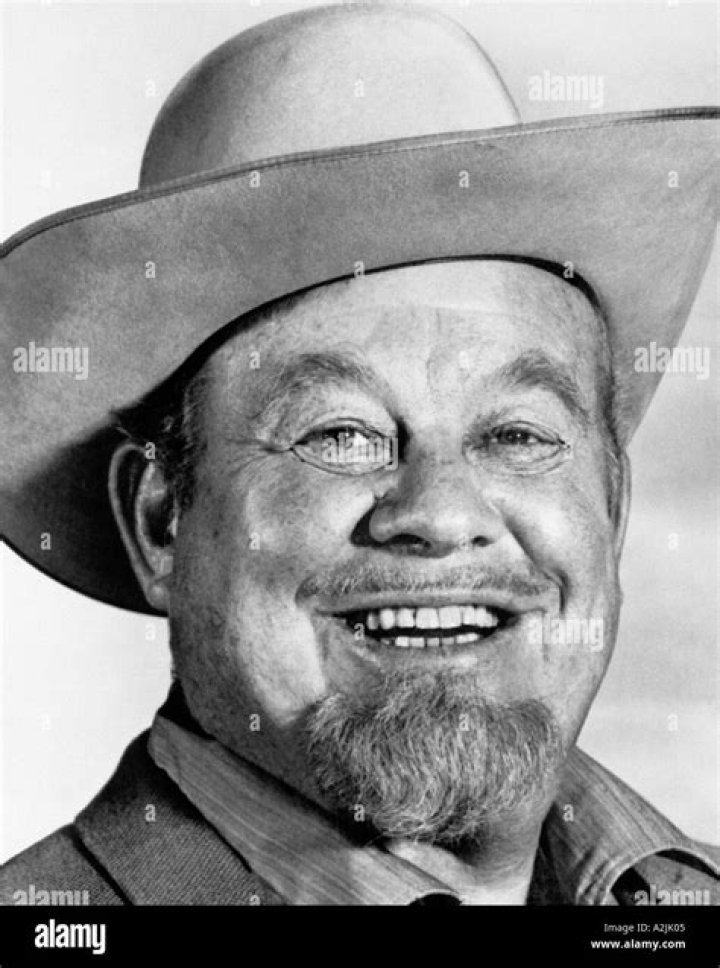 Burl Ives Biography, Age, Height, Wife, Net Worth, Family