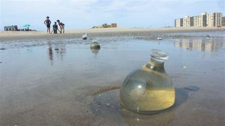 Caroline Woolard Biography, Age, Height, Husband, Net Worth, Family