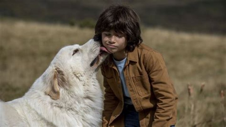 Cécile Aubry Biography, Age, Height, Husband, Net Worth, Family