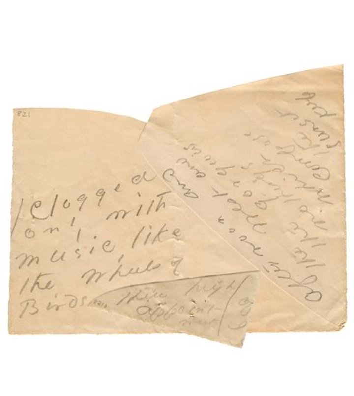 Christopher Benfey Biography, Age, Height, Wife, Net Worth, Family