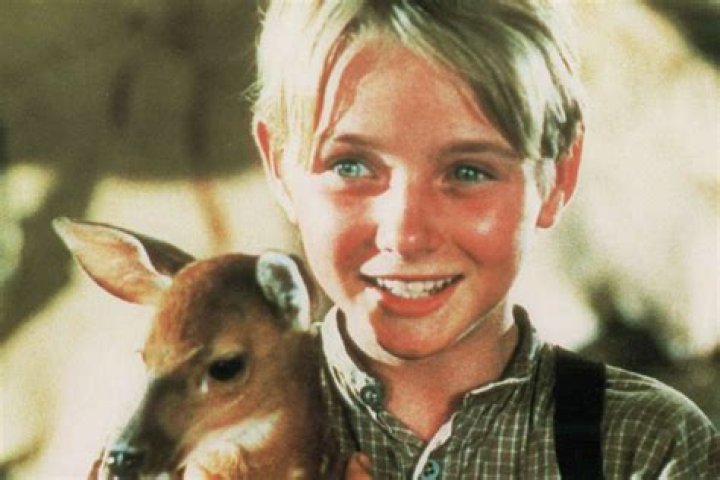 Claude Jarman Jr. Biography, Age, Height, Wife, Net Worth, Family