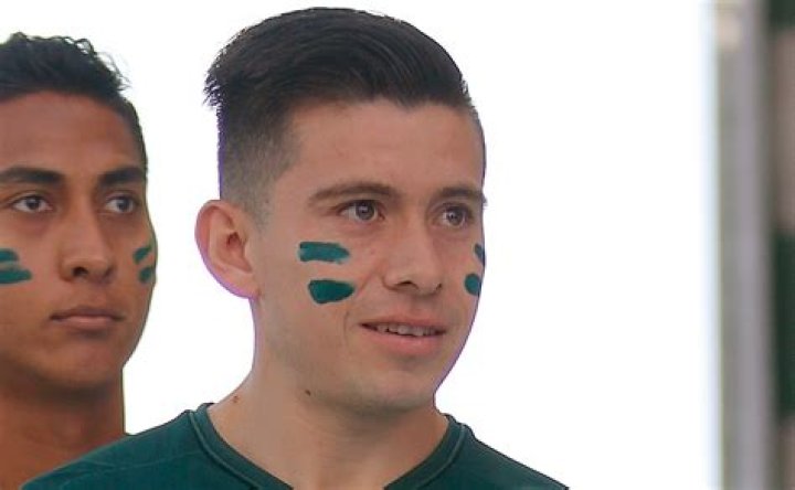 David Andrade Biography, Age, Height, Wife, Net Worth, Family