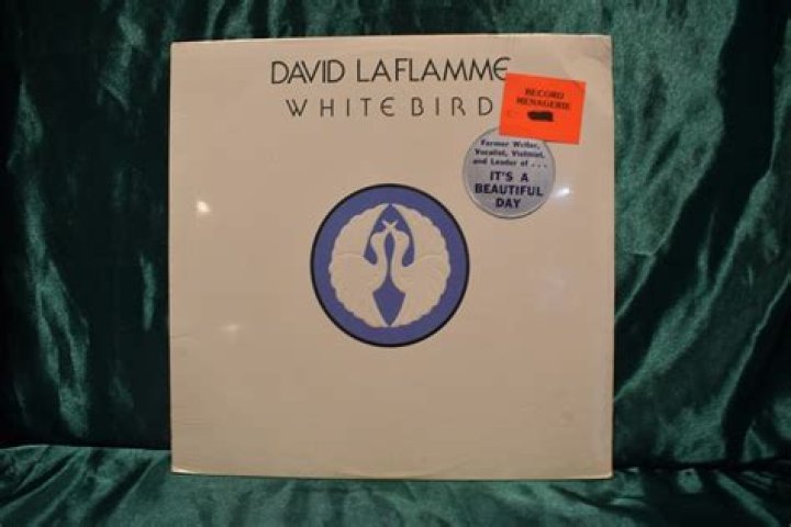 David LaFlamme biografía, edad, altura, esposo, net worth, familia