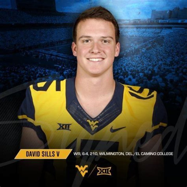 David Sills Biography, Age, Height, Wife, Net Worth, Family