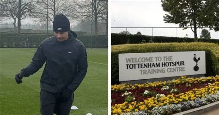 Dele Alli Biography, Age, Height, Wife, Net Worth, Family