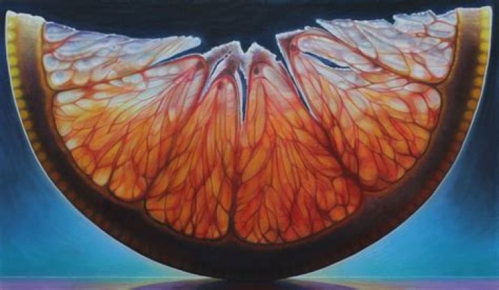 Dennis Wojtkiewicz Biography, Age, Height, Wife, Net Worth, Family