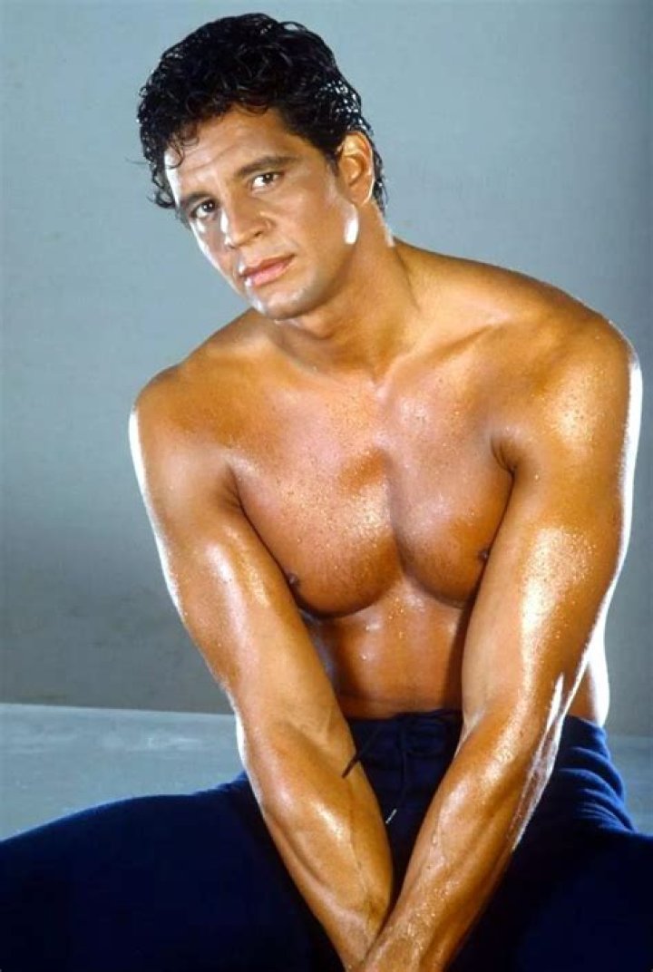 Ed Marinaro Biography, Age, Height, Wife, Net Worth, Family