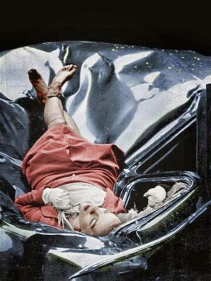Evelyn McHale Biography, Age, Height, Wife, Net Worth and Family