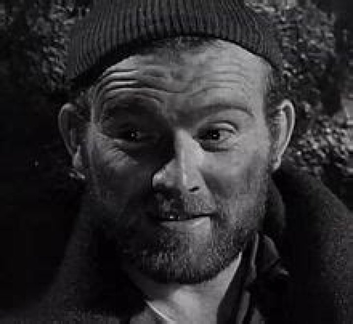 Gene Evans (pyrotechnician) Biography, Age, Height, Wife, Net Worth and Family