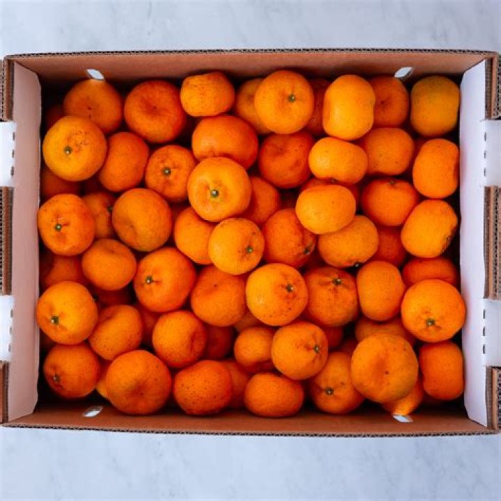 Georgia Peach biografía, edad, altura, esposa, net worth, familia