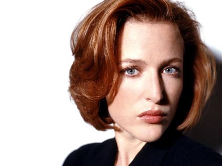 Gillian Anderson Biography, Age, Height, Husband, Net Worth, Family