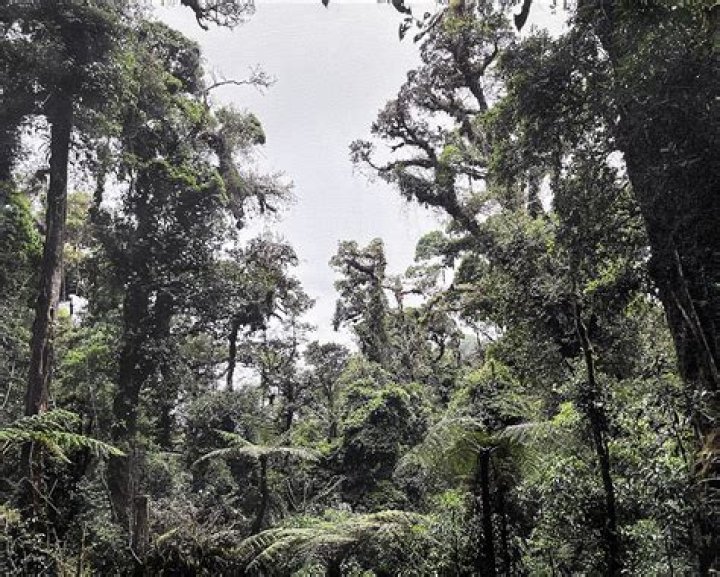 Haley Mellin Biography, Age, Height, Husband, Net Worth, Family