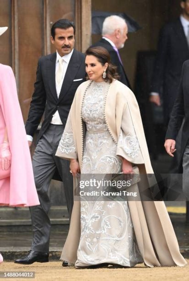 Hamad bin Suhaim Al Thani Biography, Age, Height, Wife, Net Worth, Family