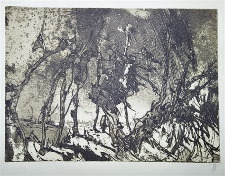 Horst Janssen Biography, Age, Height, Wife, Net Worth, Family