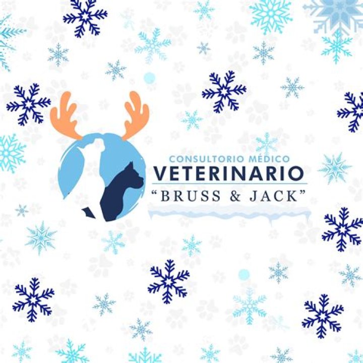 Jack Melchor biografía, edad, altura, esposo, net worth, familia