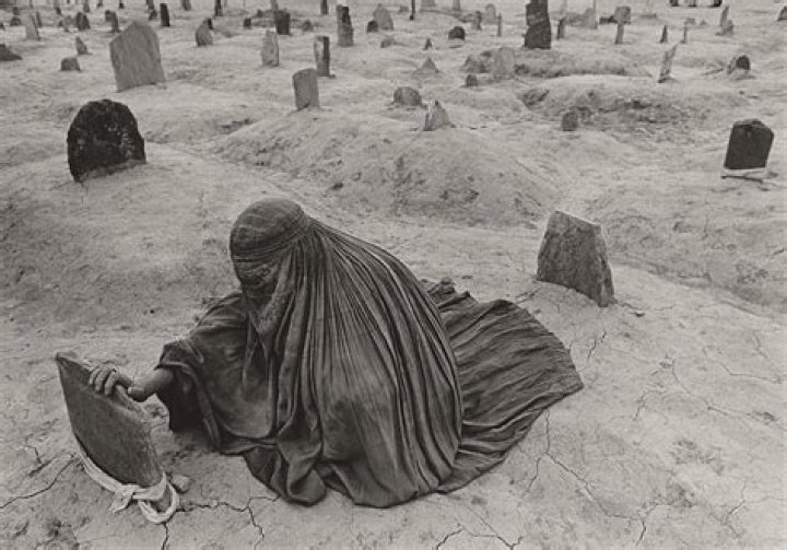 James Nachtwey Biography, Age, Height, Wife, Net Worth, Family