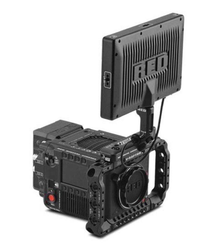 Jarred Land Biography, Age, Height, Wife, Net Worth, Family