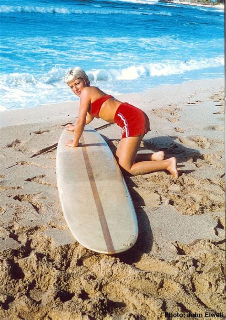 Linda Benson Biography, Age, Height, Husband, Net Worth, Family