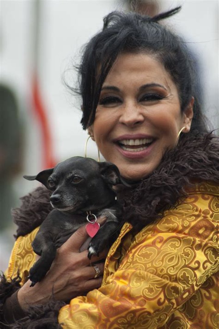 Maria Conchita Alonso biografía, edad, altura, esposa, net worth, familia