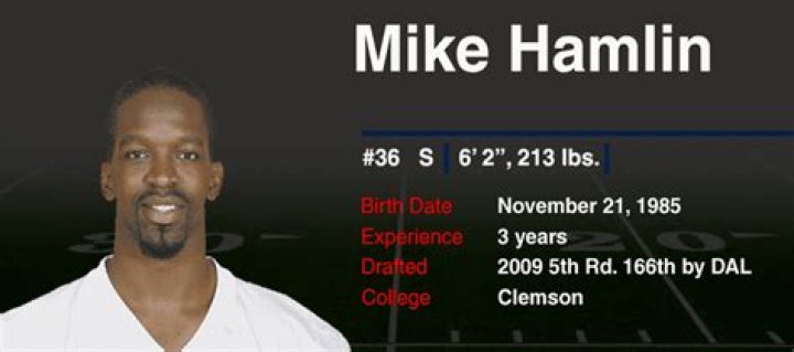 Michael Hamlin Biography, Age, Height, Wife, Net Worth, Family