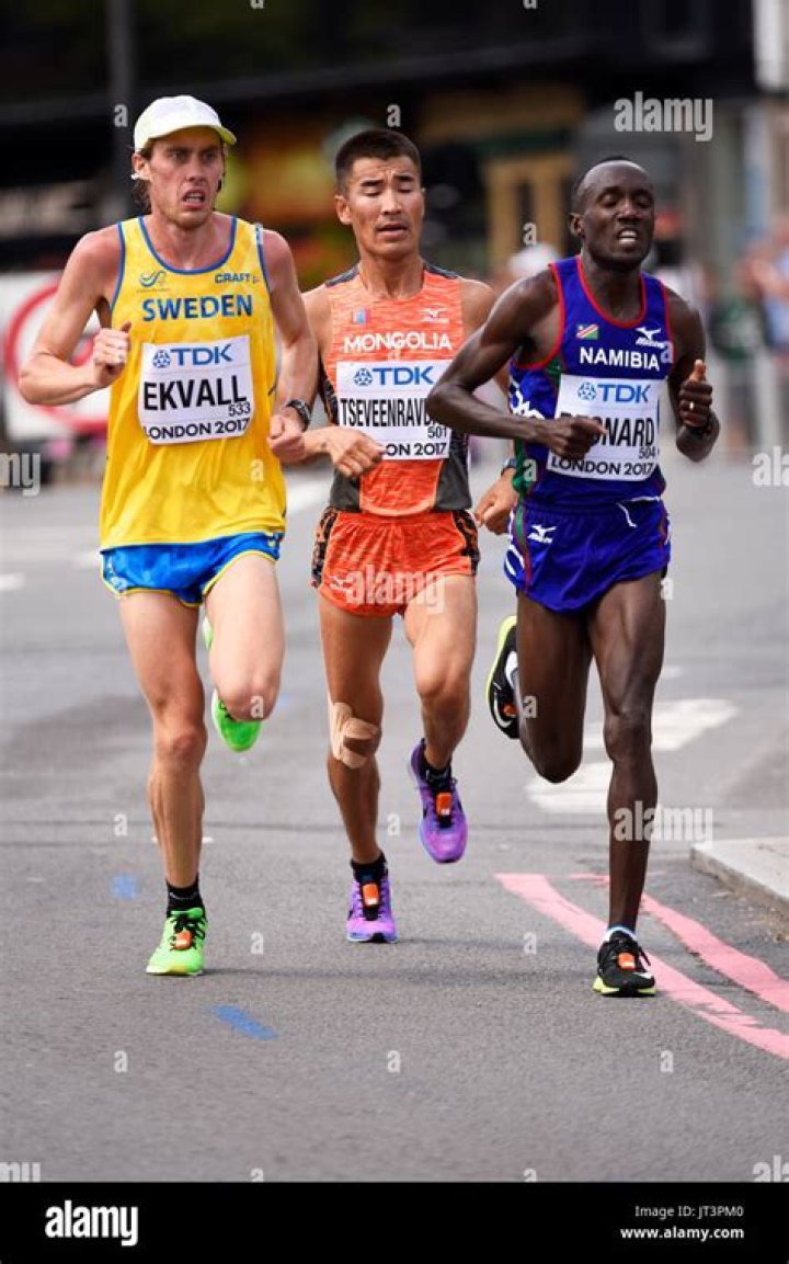 Mikael Ekvall Biography, Age, Height, Wife, Net Worth, Family