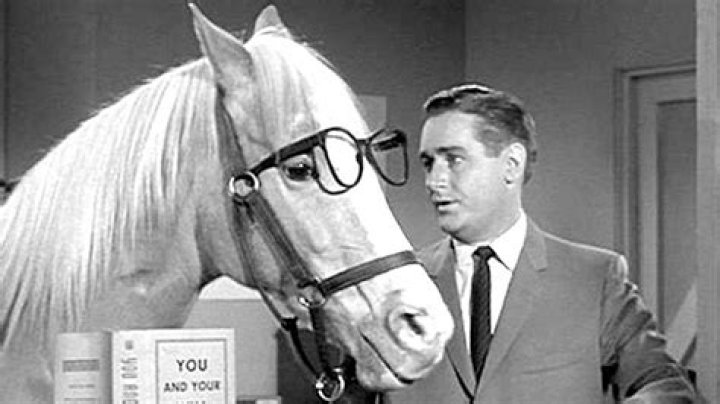 Mister Ed Biography, Age, Height, Wife, Net Worth, Family