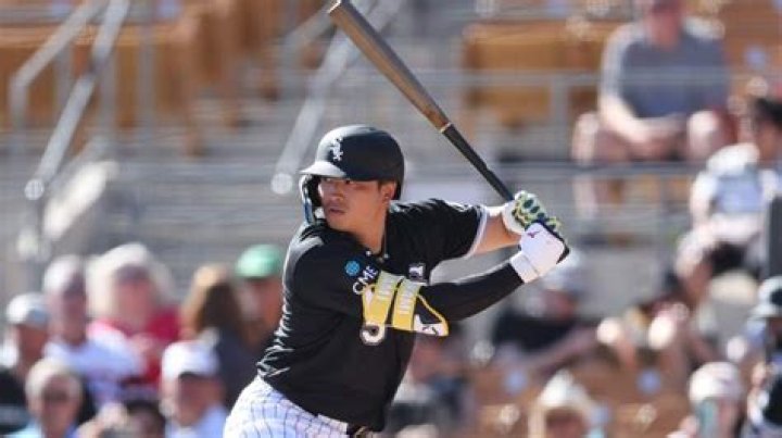 Munetaka Murakami Biography, Age, Height, Wife, Net Worth, Family