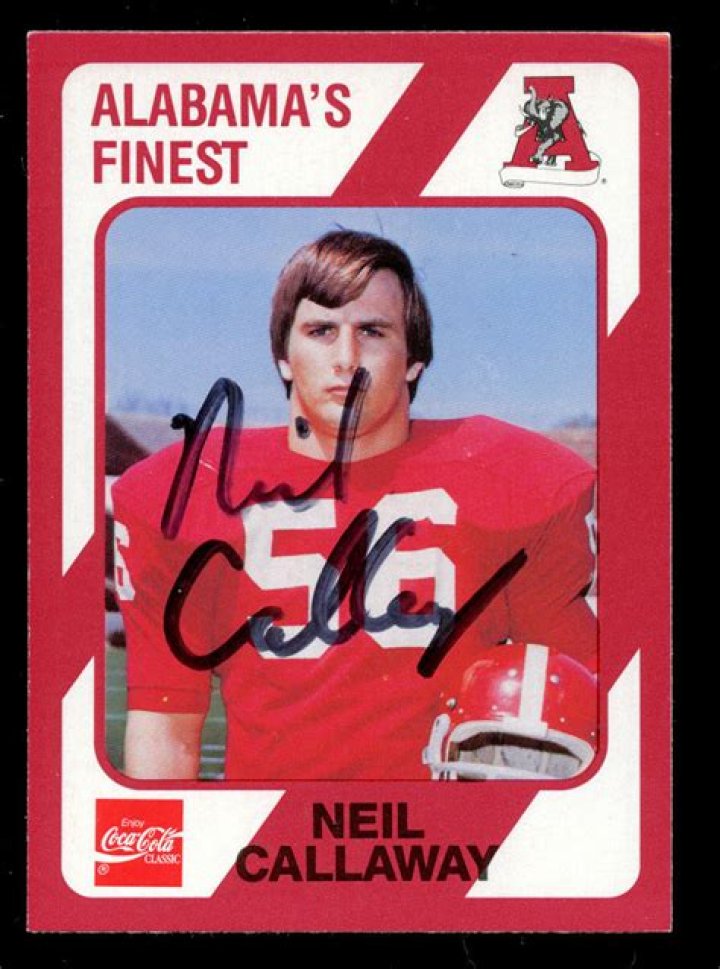 Neil Callaway Biography, Age, Height, Wife, Net Worth, Family