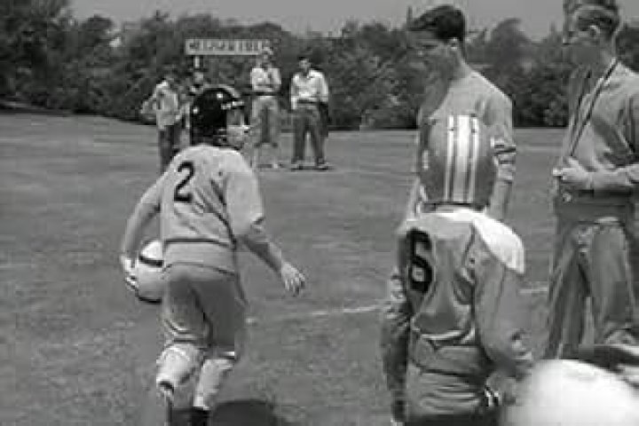 Neil Seflinger Biography, Age, Height, Wife, Net Worth, Family