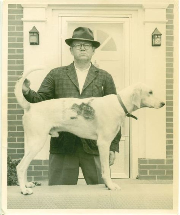 Percy Flowers Biography, Age, Height, Wife, Net Worth and Family