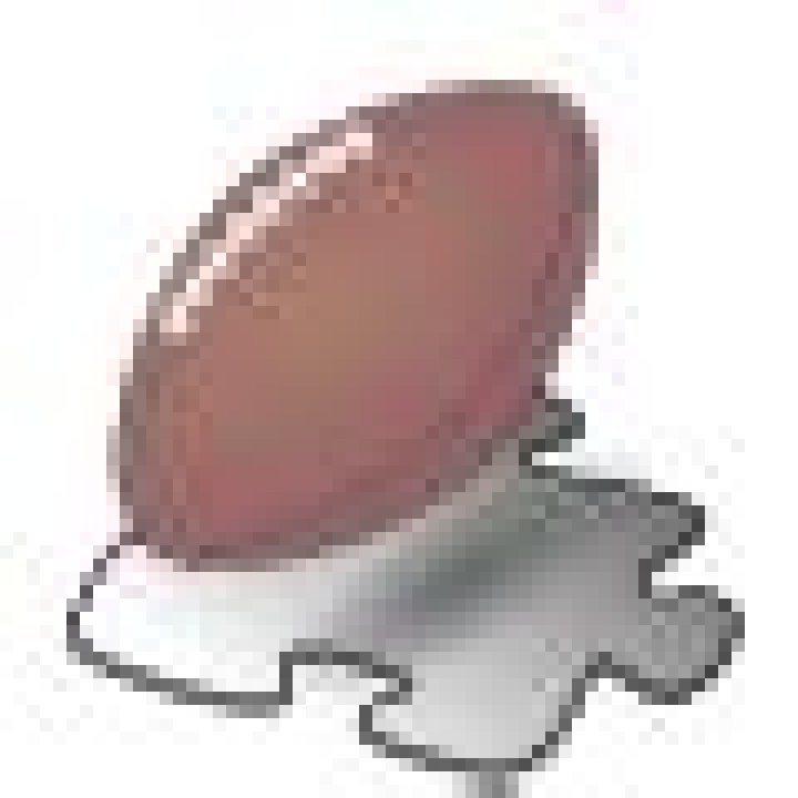 Reggie Evans Biography, Age, Height, Wife, Net Worth, Family