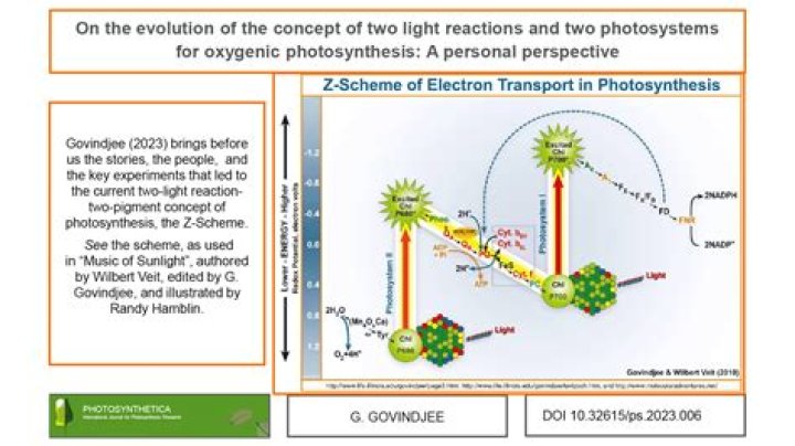 Robert Emerson Biography, Age, Height, Husband, Net Worth, Family