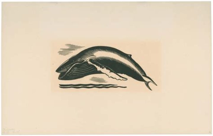 Rockwell Kent Biography, Age, Height, Wife, Net Worth, Family