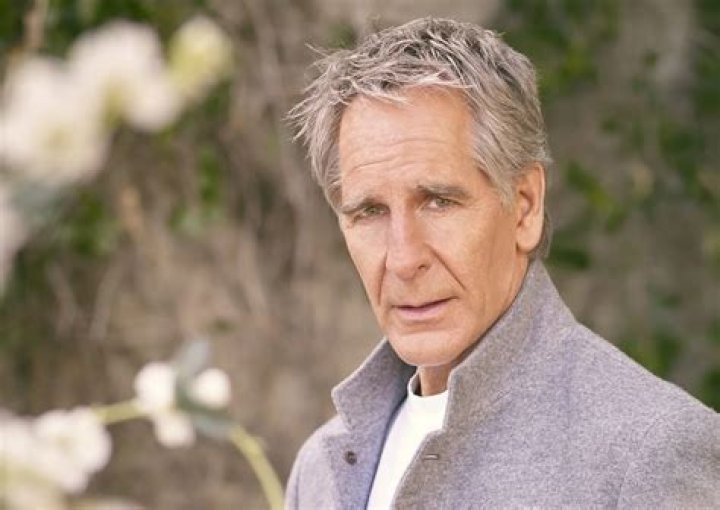 Scott Bakula Biography, Age, Height, Wife, Net Worth, Family
