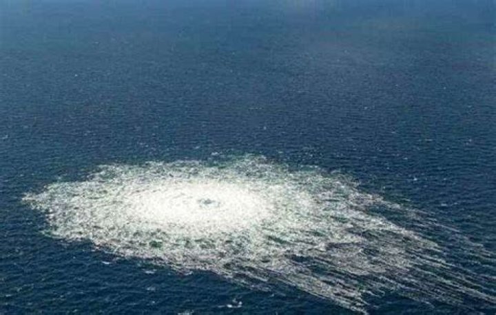 Seymour Hersh Biography, Age, Height, Wife, Net Worth, Family