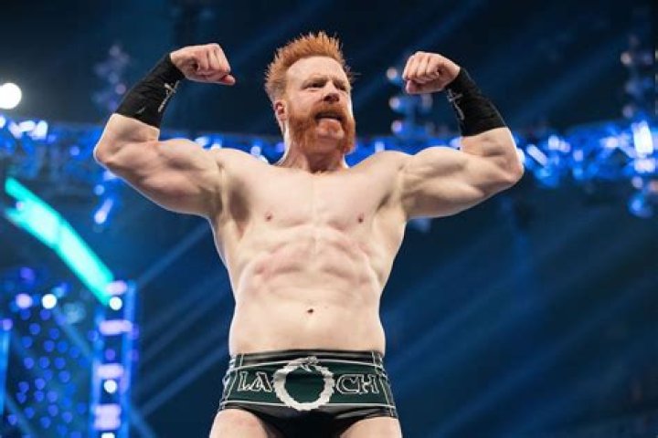 Sheamus Biography, Age, Height, Wife, Net Worth, Family