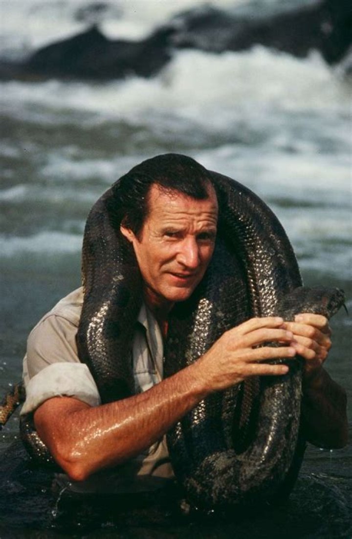 Stan Brock Biography, Age, Height, Wife, Net Worth, Family