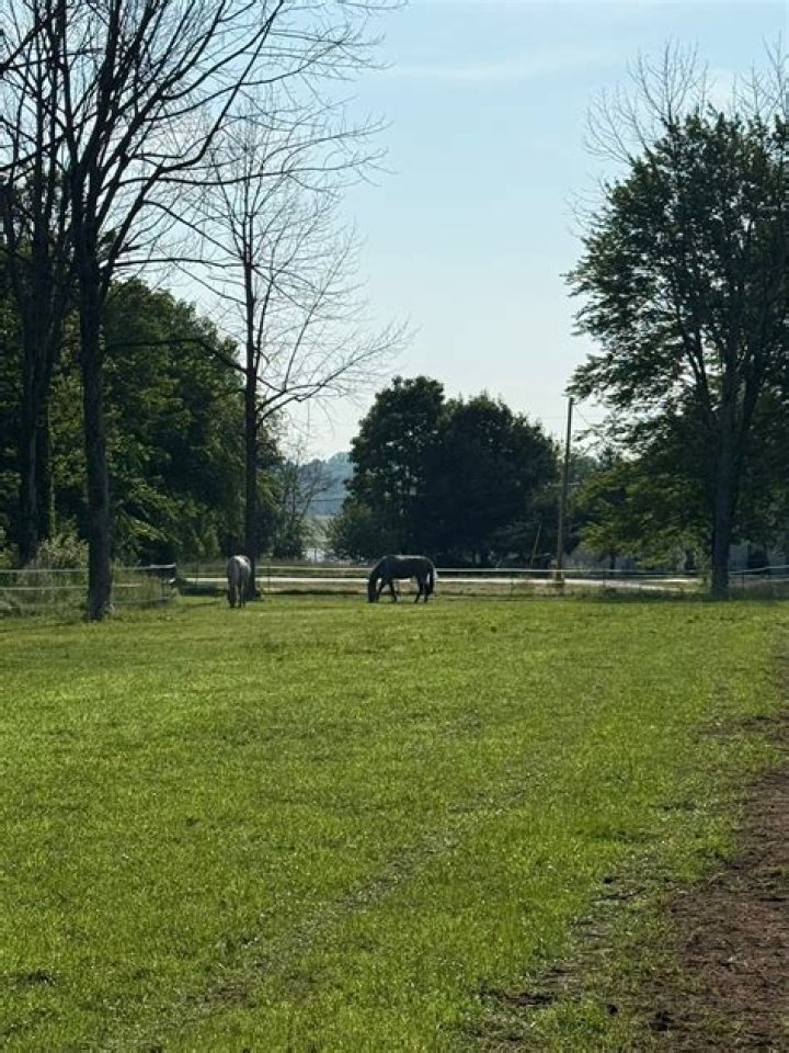 Stephany Austin Biography, Age, Height, Husband, Net Worth, Family