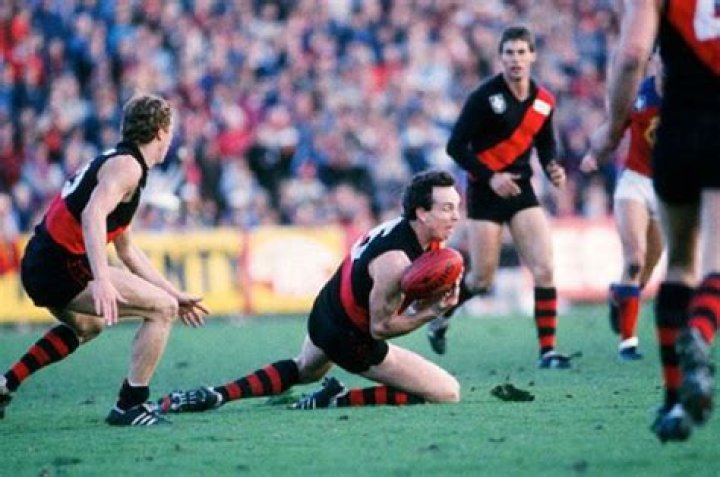 Terry Daniher Biography, Age, Height, Wife, Net Worth, Family