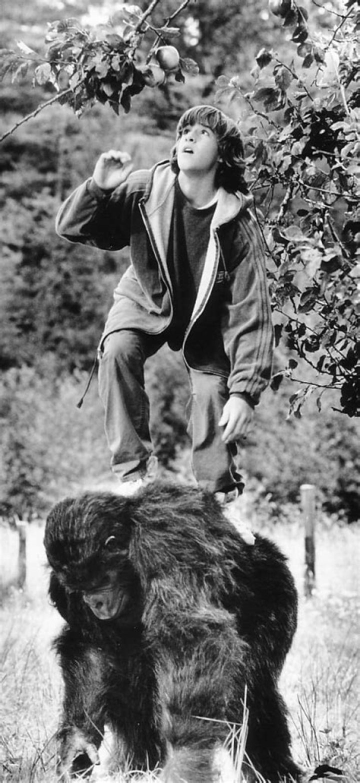 Wil Horneff biografía, edad, altura, esposo, net worth, familia