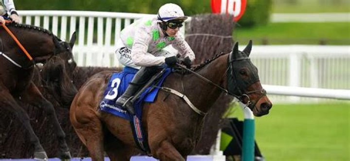 Willie Mullins Biography, Age, Height, Wife, Net Worth, Family