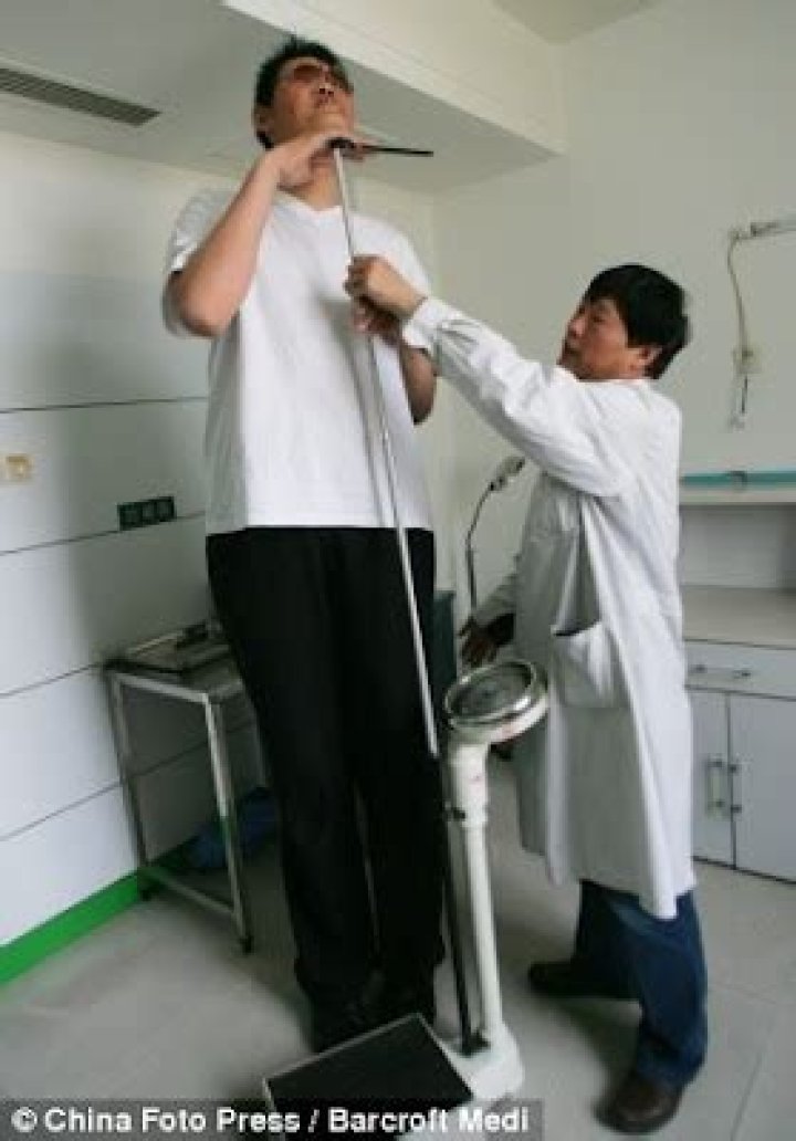 Zhao Liang Biography, Age, Height, Wife, Net Worth, Family